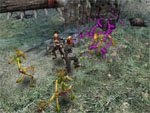 Dungeon Siege II: Deluxe Edition a boltokban