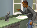 The Sims 2: Pets az üzletekben!