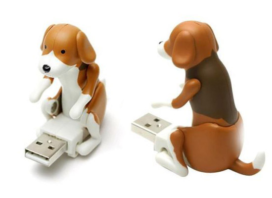 USB-s pajzán kutya