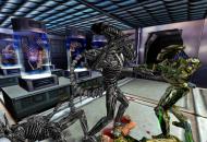 Aliens versus Predator Játékképek 347b089e3073ecdc129b  