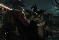 Batman: Arkham Asylum Játékképek a8c828e24d4ead3f8008  
