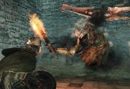 Dark Souls 2 Crown of the Old Iron King DLC 3a2083896a78a0504693  
