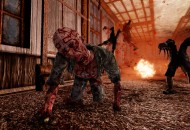 Painkiller: Hell & Damnation Medieval Horror DLC a9002c29d427249c79fc  