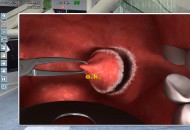 Surgery Simulator 2011 Játékképek 9c524046c04eeb3dc60f  