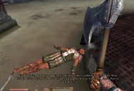 The Elder Scrolls IV: Oblivion Játékképek e08392583eb0e03a1e45  