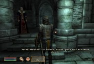 The Elder Scrolls IV: Oblivion Játékképek fcc12c73304b6512e985  