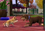 The Sims 3: Házi kedvenc (Pets) Játékképek 57c769a80f1c4d852428  