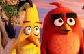 Angry Birds-film bd30fe3a1a094f6180ee  