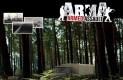 ArmA: Armed Assault Háttérképek 51371086db0e5db250b5  
