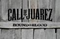 Call of Juarez: Bound in Blood Háttérképek 07e11b1d100dea1e463c  