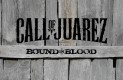 Call of Juarez: Bound in Blood Háttérképek abf84d7147c8fde627ad  