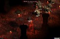 Diablo II: Lord of Destruction Játékképek fba4744f1cb9444eff0f  