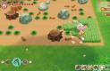 Story of Seasons: Friends of Mineral Town teszt_4