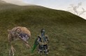The Elder Scrolls III: Morrowind Játékképek f66343600d4f2a74460c  