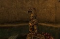 The Elder Scrolls III: Morrowind Játékképek fd308ce26558ffac6592  