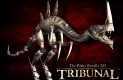 The Elder Scrolls III: Tribunal Háttérképek a5585cb3a170767ac158  