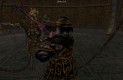 The Elder Scrolls III: Tribunal Játékképek 4de8b98a58b578dffe06  