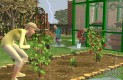 The Sims 2: Évszakok (Seasons) Játékképek 71212f6f24c37d358a8b  