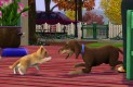 The Sims 3: Házi kedvenc (Pets) Játékképek 57c769a80f1c4d852428  