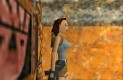Tomb Raider (1996) Játékképek 7683cec069f0b35e9509  