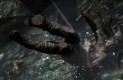 Tomb Raider Játékképek ab0b02807c96b0f73174  