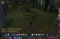 World of Warcraft: Wrath of the Lich King Játékképek 640b9d35b0b0c50f5493  