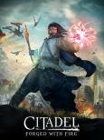 Citadel: Forged with Fire tn