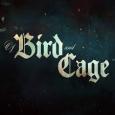 Of Bird And Cage tn