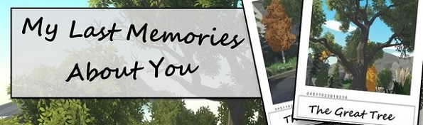 My Last Memories About You
