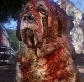 A Netflix veszi kezelésbe Stephen King 1981-es regényét