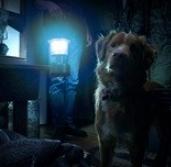 Eljut a magyar mozikba is az idei év legkülönlegesebb horrorfilmje
