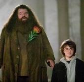 Simon Pegg legjobb haverja lehet Hagrid a Harry Potter-sorozatban