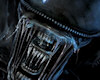 Az Aliens vs. Predator DX 11 játék lesz! tn