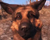 Fallout 4: ismerkedje meg Dogmeattel! tn