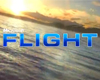 GC 2010: Microsoft Flight tn