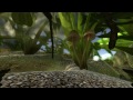 Ant Simulator - Alpha Update 4 tn
