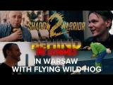 Behind the Schemes: Flying Wild Hog (Shadow Warrior 2) tn