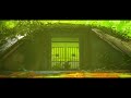 Biomutant - World Trailer tn