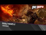 Guild Wars 2 - videoteszt tn