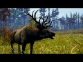 Open Country Gameplay Trailer tn