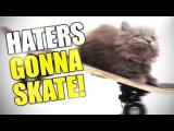 Skate 3 - FUNNY MOMENTS - Part 1 tn