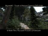 SkyrimSE | TNT ENB-Origins of Forest-Folkvangr | Lush Falkreath Forests tn