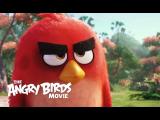 The Angry Birds Movie - Official Teaser Trailer  tn
