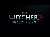 The Witcher 3: Wild Hunt VGX trailer tn