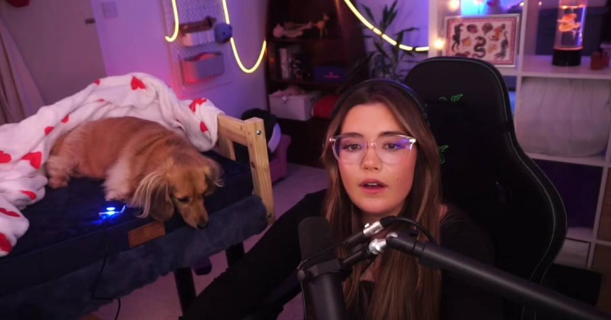 Pea, a healer kutya: segített nyerni gazdájának a négylábú Marvel Rivals-ban