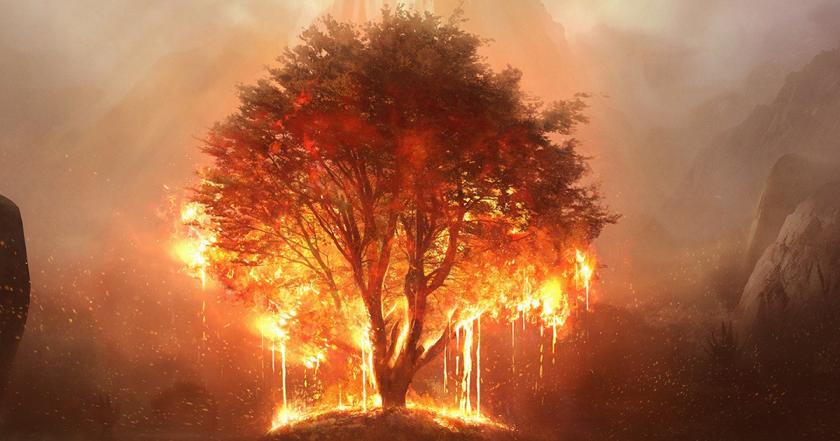 14 millió dollárt loptak és kisemmizték a fejlesztőket az Ashes of Creation új fejesei?