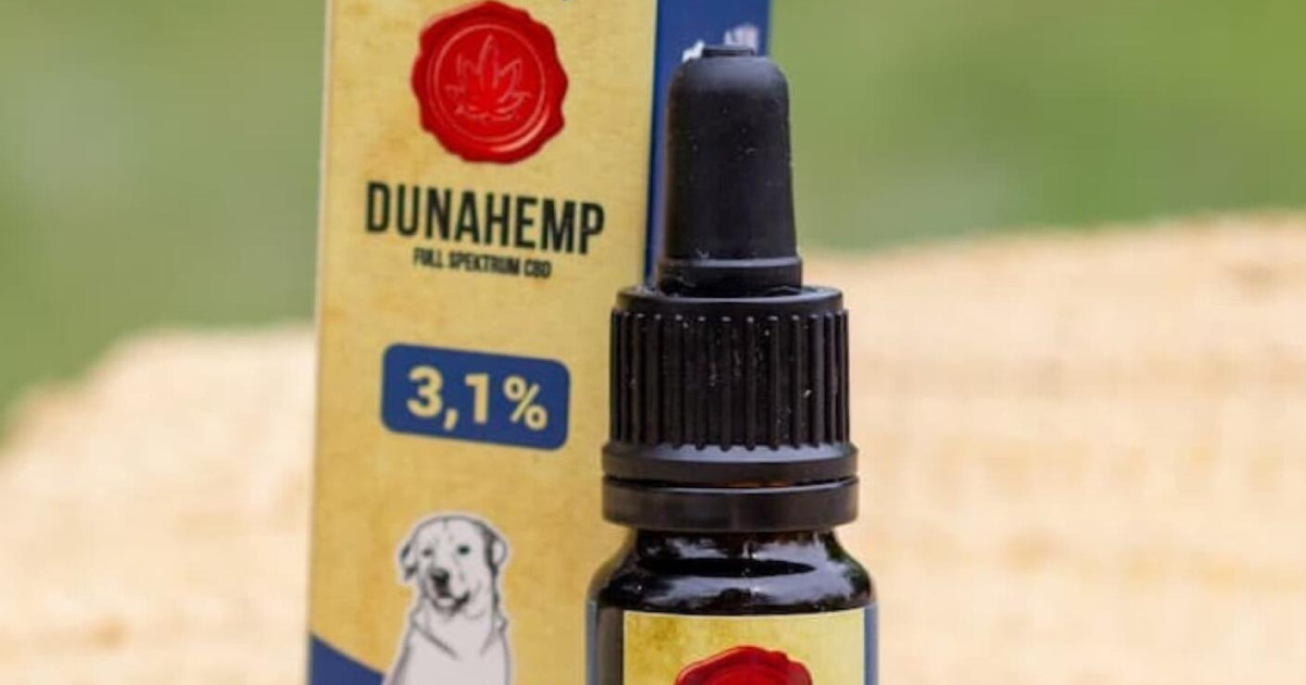 Amit az endokannabinoid rendszerről tudni érdemes