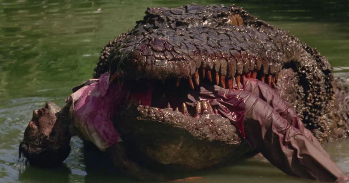 Krokodilos horrort készít a Lionsgate, Glen Powell a producer 