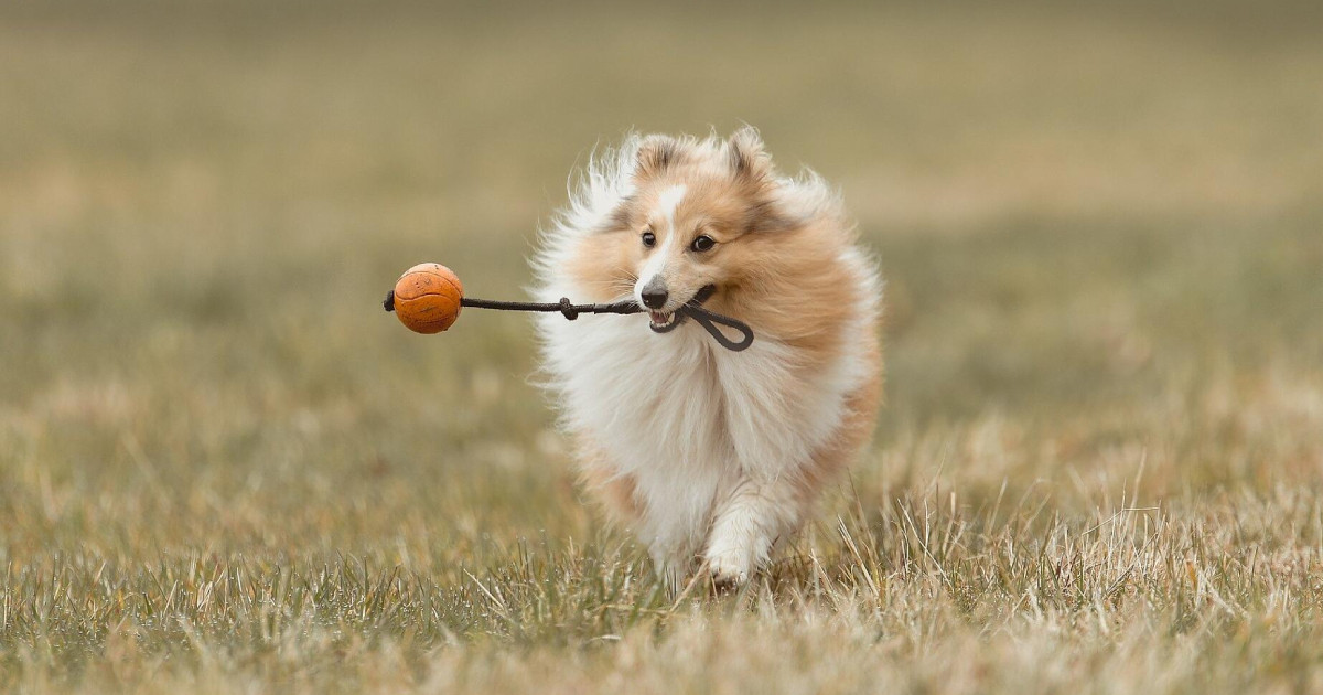 A játék szerepe az életünkben: több mint egyszerű szórakozás