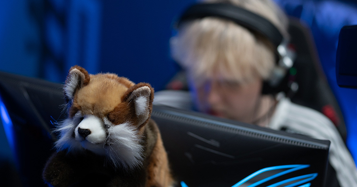 Magyar siker forr a PGL Bukaresten, szurkoljunk együtt coolionak!